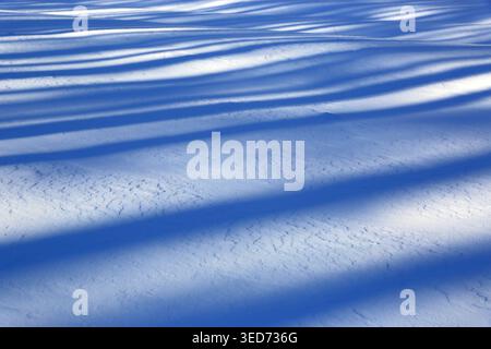 abstract background with blue long shadows on fresh snow Stock Photo