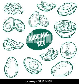 Avocado set with whole fruits and slices in green line art style Stock Vector