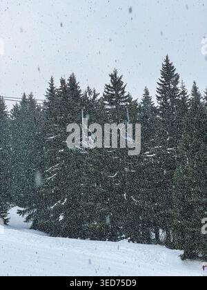 Heavy snowfall at Kopaonik ski resort with chairlift above dense pine forest on a cold winter day. Stock Photo