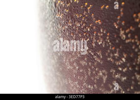 Red fizzy drink with small  tiny bubbles in frozen glass isolated white background Stock Photo