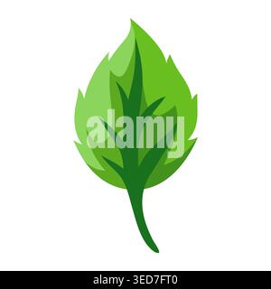 Illustration of rose leaf. Beautiful decorative realistic plant. Stock Vector
