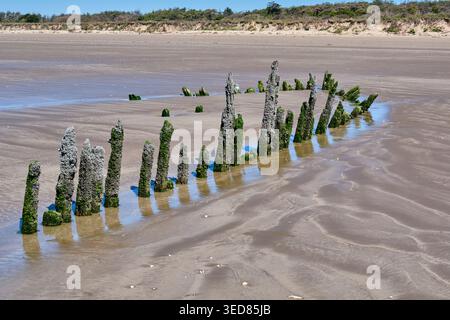 Shipwreck on Cefn Sidan Sands - Wales' longest beach at Pembrey Country Park, Pembrey, Carmarthenshire Stock Photo