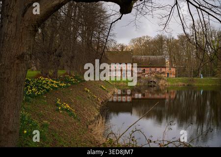 AHRENSBURG, GERMANY - MARCH 31, 2026: The historic castle mill reflects in the pond water beside yellow daffodils at Ahrensburg Palace Stock Photo
