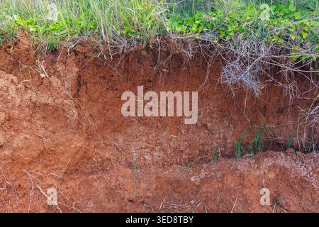 Red Terra Rossa Soil Profile in Istria, Croatia Stock Photo