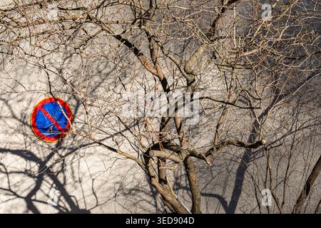 Branch shadows on wall at Franzeninkatu in Kallio district of Helsinki, Finland Stock Photo