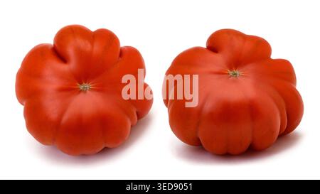 Two fresh Ribbed Red Beefsteak Tomato displayed together, showcasing natural texture, organic produce quality, and vibrant red color, ideal for health Stock Photo
