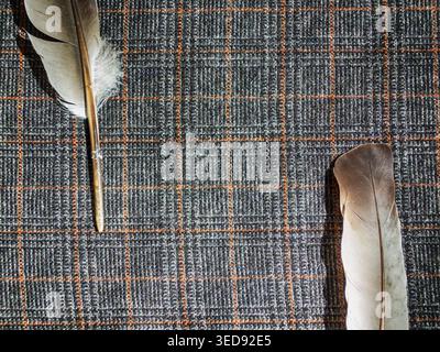 Feather on checkered wool fabric close up, background, decoration, wallpaper Stock Photo