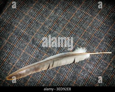 Feather on wool fabric background, decoration, wallpaper Stock Photo