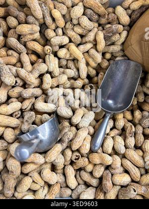 Fresh peanuts in shells with a couple of metal scoops Stock Photo