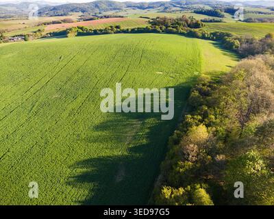 Aerial view of rolling green agricultural fields and lush forests with ...