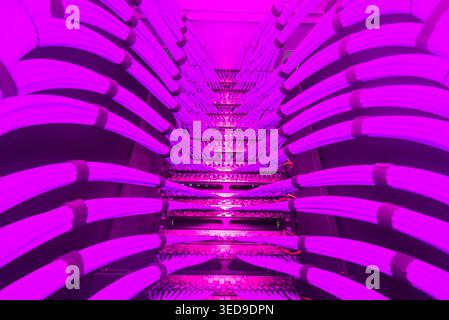 An abstract view of vibrant cables illuminated in pink hues. This image captures the essence of technology, making it perfect for creative projects. Stock Photo