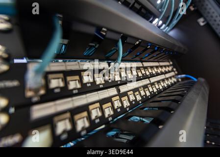 Close-up view of a network cable rack showcasing connectors and switches, highlighting technology used in data transmission and communication infrastr Stock Photo