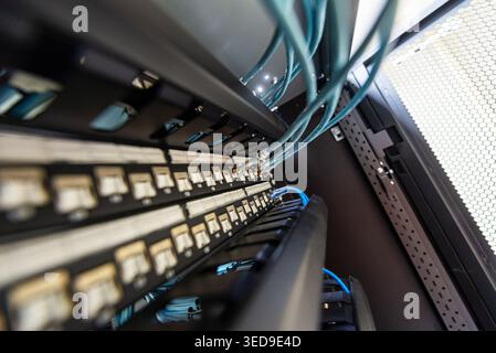 This image showcases network cables organized in a server cabinet, highlighting the importance of connectivity and infrastructure in modern technology Stock Photo