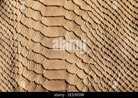 Golden Beige Snake Scale Leather Texture Background with Natural Light, Exotic Reptile Skin Material Close-Up" Stock Photo