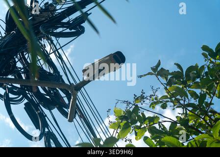 This image shows a security camera mounted on an electrical pole, surrounded by leaves and wires, illustrating urban security infrastructure and outdo Stock Photo