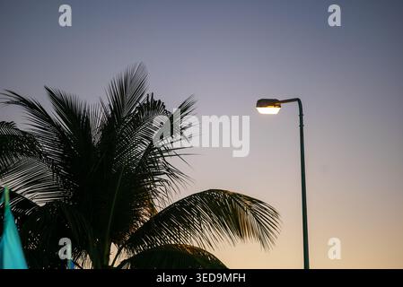 A serene scene featuring a palm tree silhouetted against a colorful sunset sky, complemented by a softly glowing street light, evoking a tranquil even Stock Photo