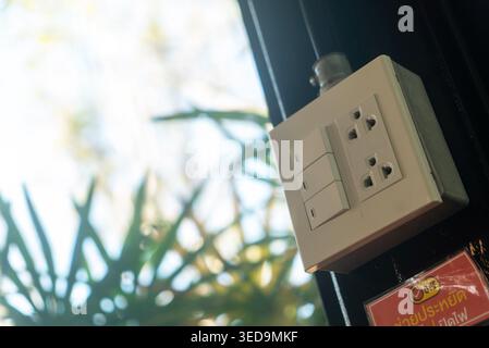 A closeup view of an electrical outlet and switch on a wall, set against a blurred background of lush indoor plants, showcasing a modern interior desi Stock Photo