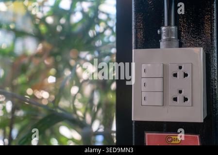 A close-up view of a modern wall socket featuring multiple electrical outlets and switches, surrounded by greenery, showcasing technology in a natural Stock Photo