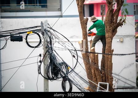 A tree trimmer expertly climbs a high branch while using a chainsaw to remove wood. Power lines are visible, highlighting urban hazards. Safety gear i Stock Photo