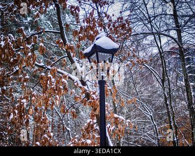 Lantern in a winter park street winter landscape Stock Photo