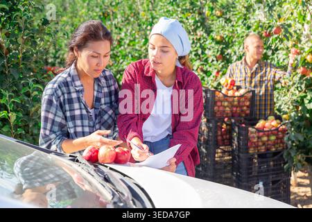 Woman farmer discussing documents with female partner in garden during apple harvest Stock Photo