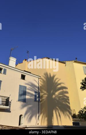 A shadow of a palm tree on a house facade, Vallauris, Cote d Azur, France Stock Photo