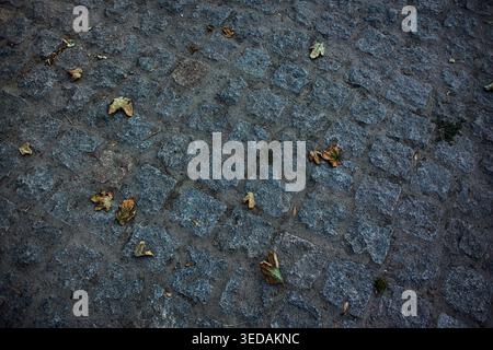 Granite paving stones in the park. Road from paving stones for background and texture. The old road of granite paving stones. Stock Photo