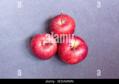 Three gala apples on grey background Stock Photo