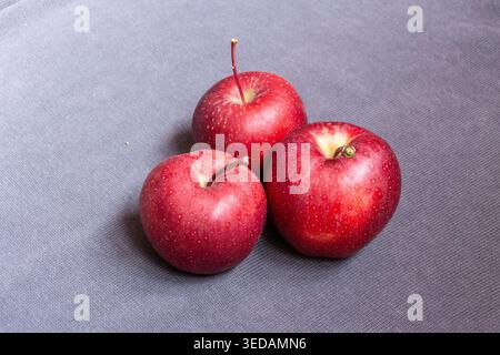 Three red apples on grey background Stock Photo