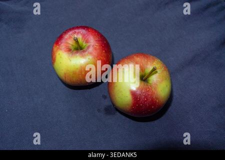 Two apple on grey background Stock Photo