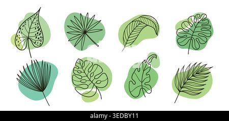 Tropical leaves vector set with palm, monstera, philodendron and caladium foliage on green blobs, hand drawn botanical outline collection of exotic Stock Vector