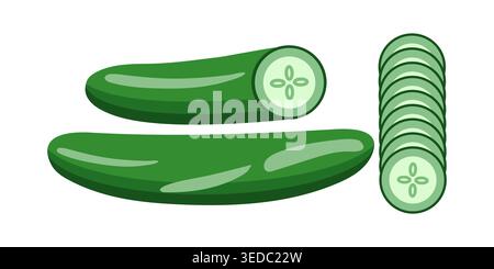 Fresh cucumber vector illustration, sliced vegetable healthy food icon Stock Vector