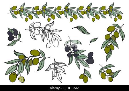 Hand drawn vector set of olive branches with leaves and fruit. Includes green, black line art, and border elements for organic food and menu design. Stock Vector