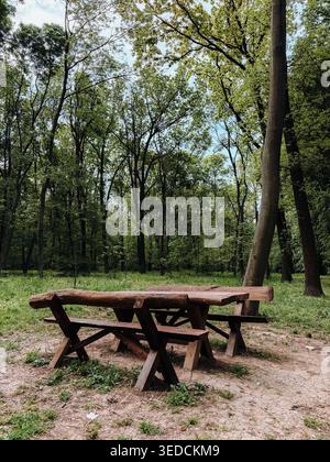 Rustic wooden picnic table standing in peaceful green forest clearing. Natural outdoor recreation spot surrounded by tall trees and spring foliage. Stock Photo