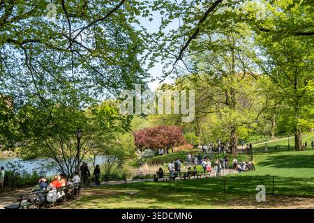 The pond in the southern part of Central Park is very popular with tourist and New Yorkers alike, 2026, New York City, USA Stock Photo