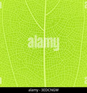 Leaf vein texture abstract background with close up plant leaf cells ornament texture pattern. Stock Vector
