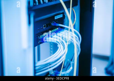A close-up view of network cables arranged in a server rack, showcasing modern technology and infrastructure for data communication in business enviro Stock Photo