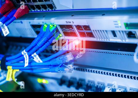Close-up view of network cables connecting to a data switch in a server room, showcasing modern technology infrastructure essential for data communica Stock Photo