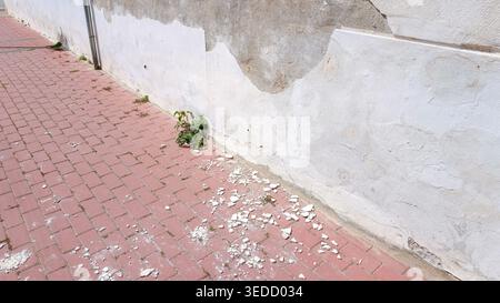 Peeling White Wall with Fallen Paint on Ground Stock Photo