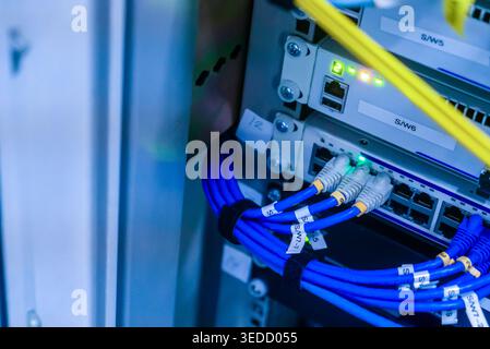 A close-up image of a network switch featuring blue Ethernet cables connecting various ports. The setup showcases modern technology in a data center e Stock Photo