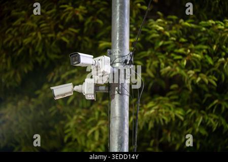 Two surveillance cameras are mounted on a metal pole, surrounded by lush green foliage at night, showcasing urban security technology in action. Stock Photo