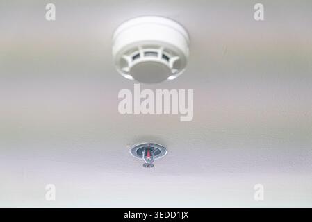 A smoke detector and fire sprinkler system installed on a ceiling, representing essential safety measures in residential and commercial spaces. Stock Photo