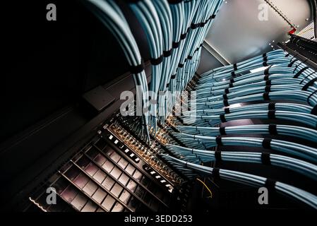 This image showcases an organized display of blue ethernet cables within a modern data center, highlighting the essential infrastructure for speedy di Stock Photo
