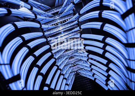 A detailed view of neatly organized network cables in a modern server room, showcasing the complexity of data connectivity and technology infrastructu Stock Photo