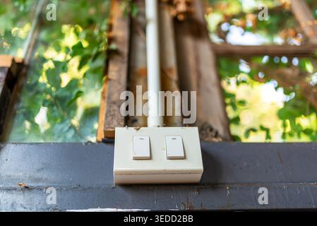 A close-up view of a light switch mounted on a wall, surrounded by greenery and natural light, creating a serene and inviting atmosphere. Stock Photo