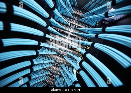 A detailed view of blue fiber optic cables arranged within a data center rack, showcasing the intricate connections that power modern digital communic Stock Photo
