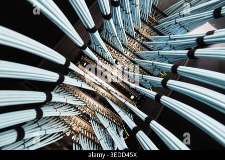 A detailed view of fiber optic cables in a server room, showcasing the intricate arrangement and design essential for modern communication networks. Stock Photo
