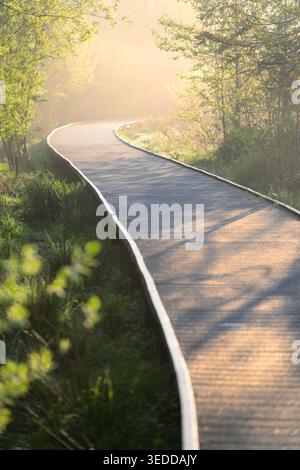 Winding wooden footpath on a peaceful spring morning leading through green countryside with golden dreamy light. Stock Photo