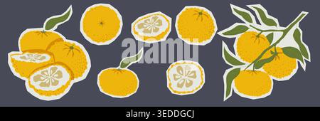 Hand drawn yuzu citrus sticker set with whole fruits slices and leaves in japanese style vector illustration with white outline isolated on dark Stock Vector