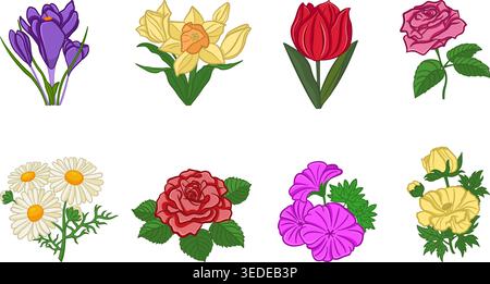 Set of Flowers. Vector Illustration of Crocus, Rose, Buttercup, Narcissus, Tulip, Chamomile and Geranium Stock Vector